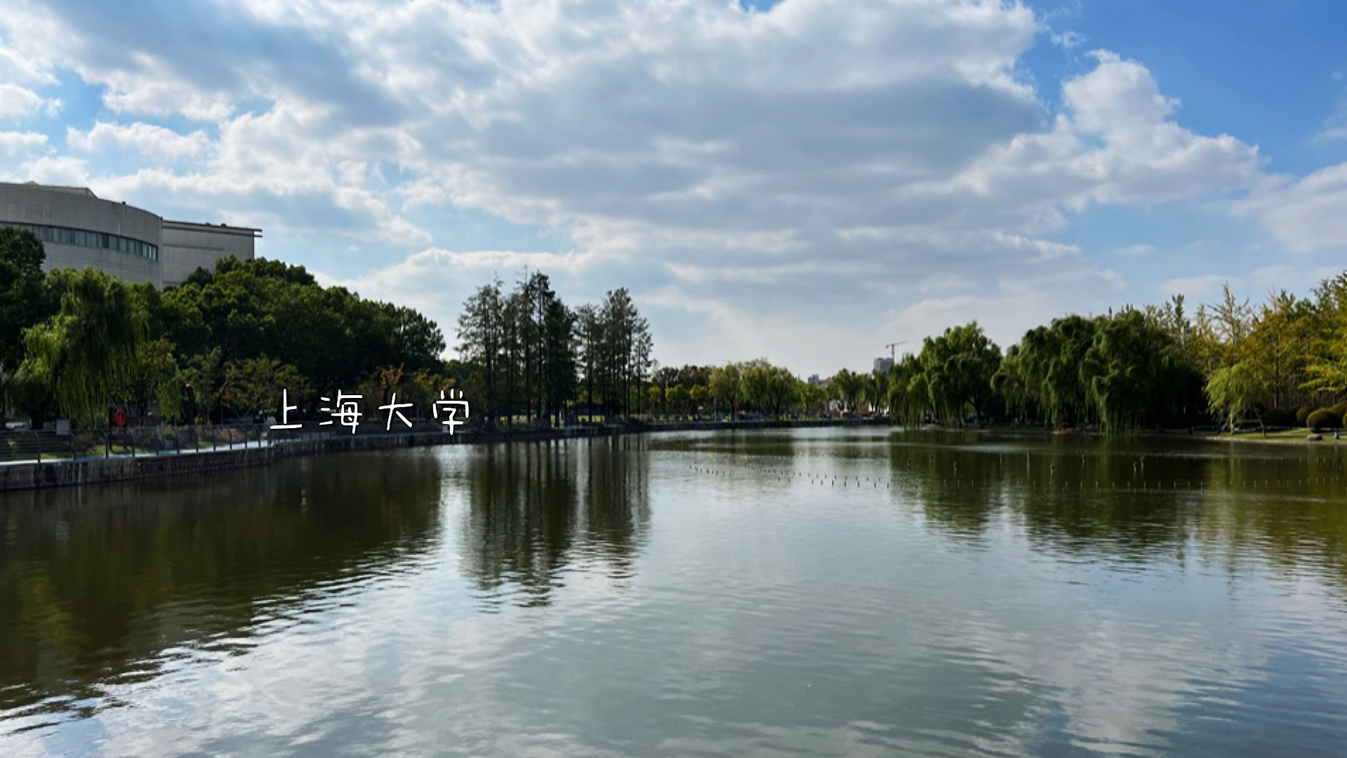 上海大学(上海大学录取分数线2024)