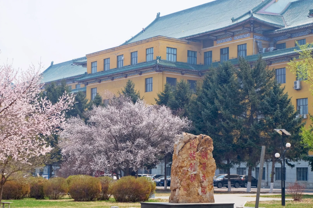 吉林大学(吉林大学是985还是211)