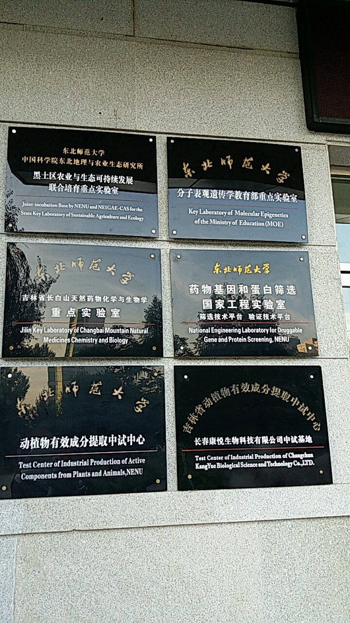东北师范大学毕业证(东北师范大学毕业证什么时候发)