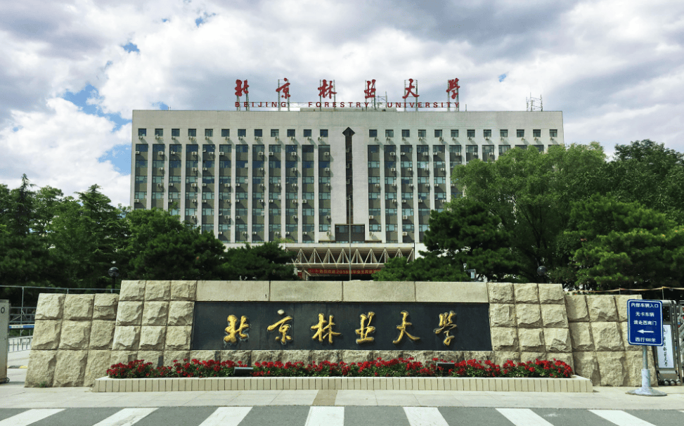 北京林业大学(北京林业大学官网)