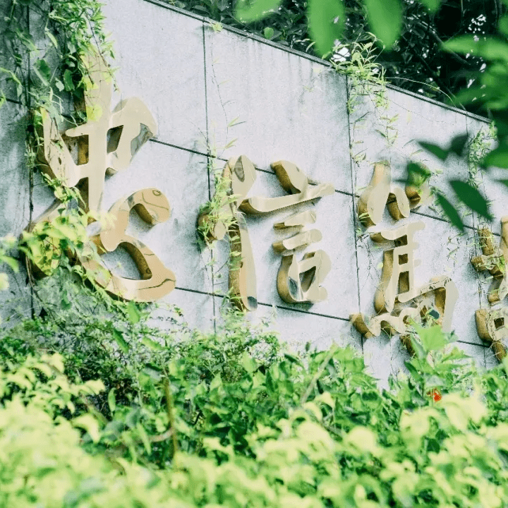 暨南大学文凭(暨南大学国家承认学历吗)