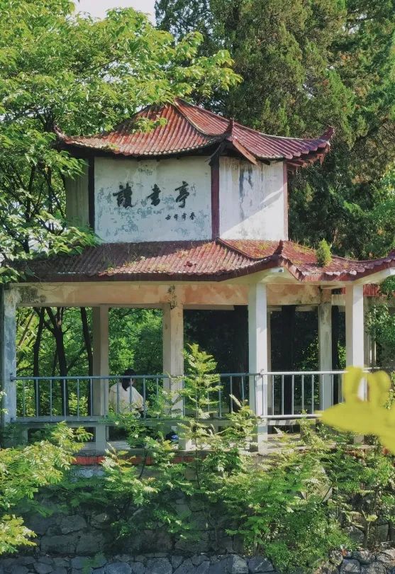 安徽大学(安徽大学研究生院)