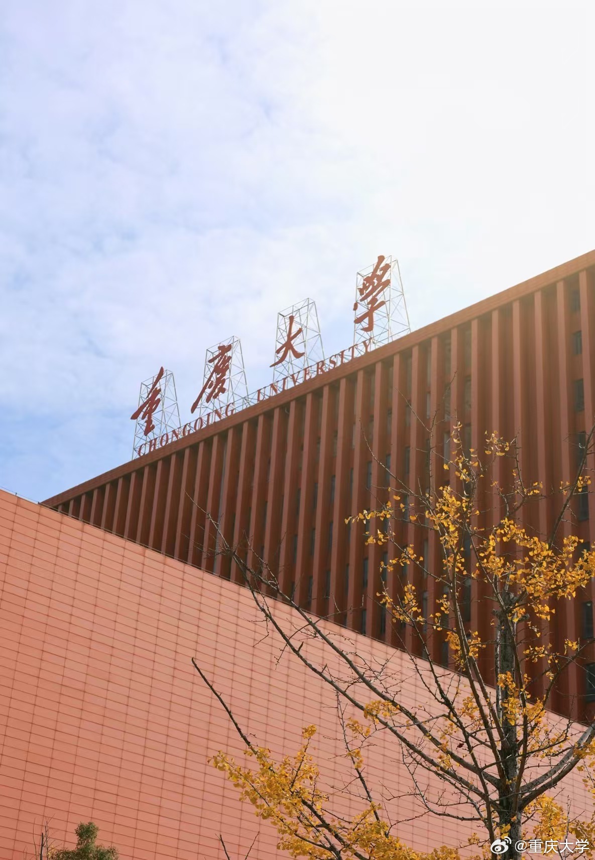 重庆大学(重庆大学录取分数线2025)