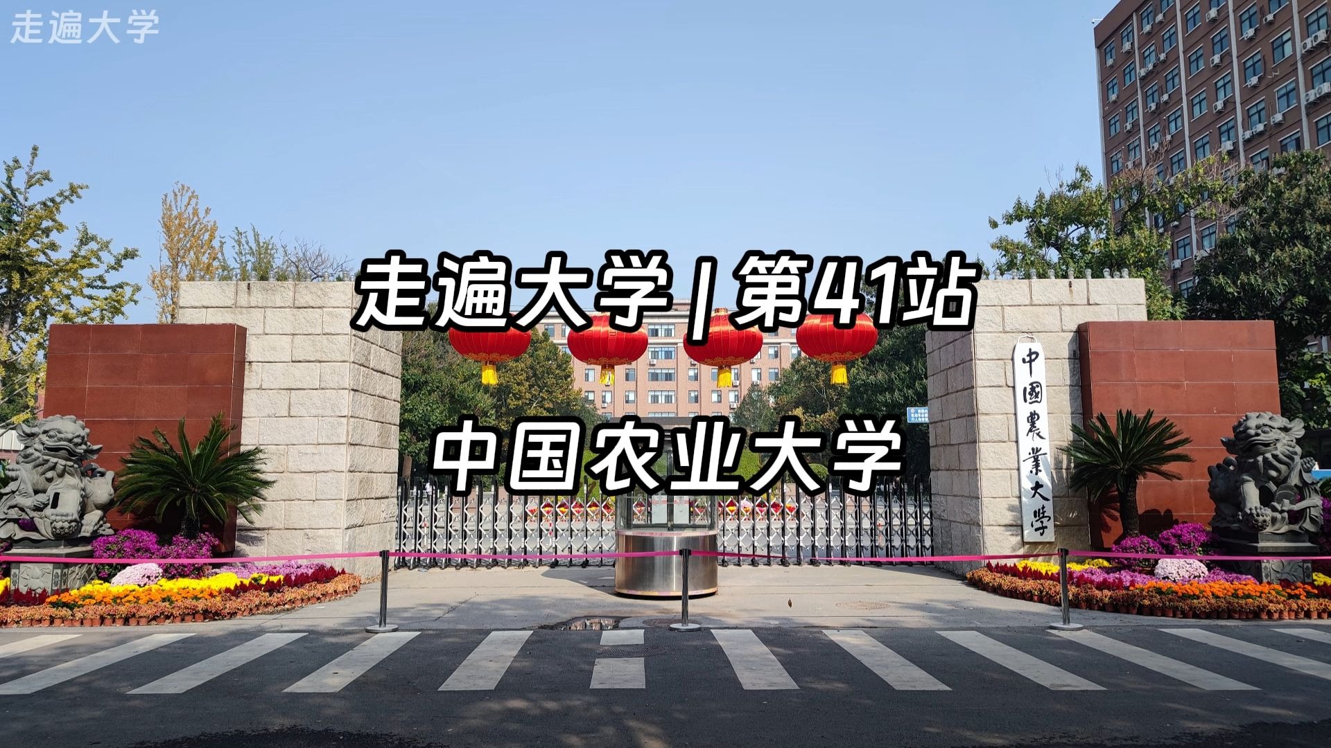 中国农业大学(中国农业大学是211还是958)